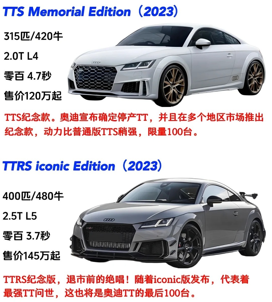 最新TT日常趣事与友谊的温馨时光