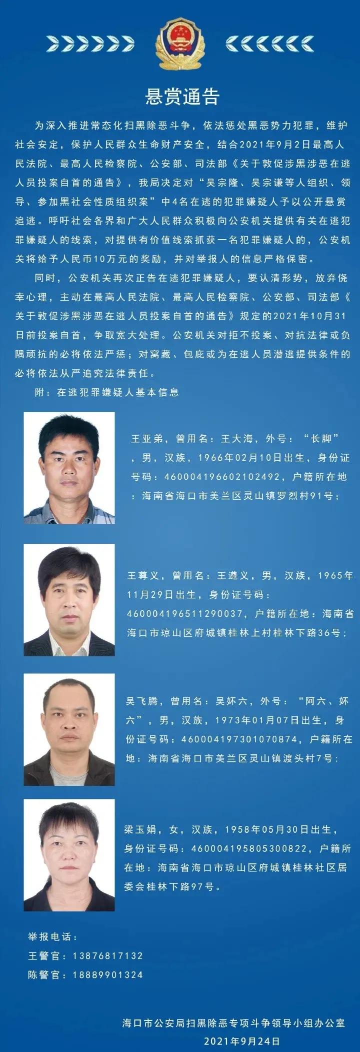 最新揄拍步骤指南与技巧分享