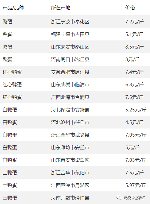 白羽肉鸡价格指南，最新查询、理解与掌握信息的步骤