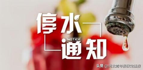 保定市最新新闻报道
