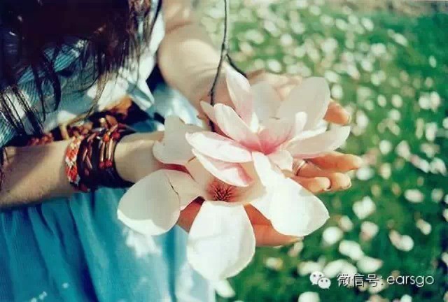 不做你的女人最新章节深度解析，情感纠葛中的新篇章探秘