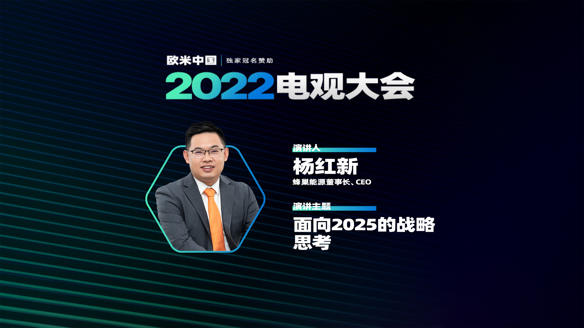 合金杨新红最新官司揭秘，多维度解读法律纷争下的复杂局面